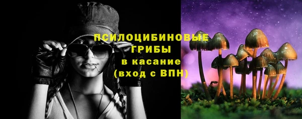 винт Алзамай