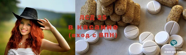 ГАЛЛЮЦИНОГЕННЫЕ ГРИБЫ Алексеевка