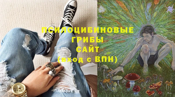 ГАЛЛЮЦИНОГЕННЫЕ ГРИБЫ Алексеевка