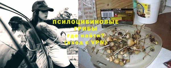 винт Алзамай