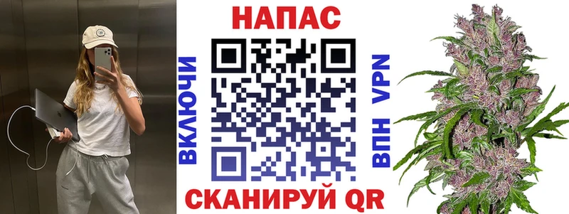 наркотики  Цоци-Юрт  МАРИХУАНА планчик 